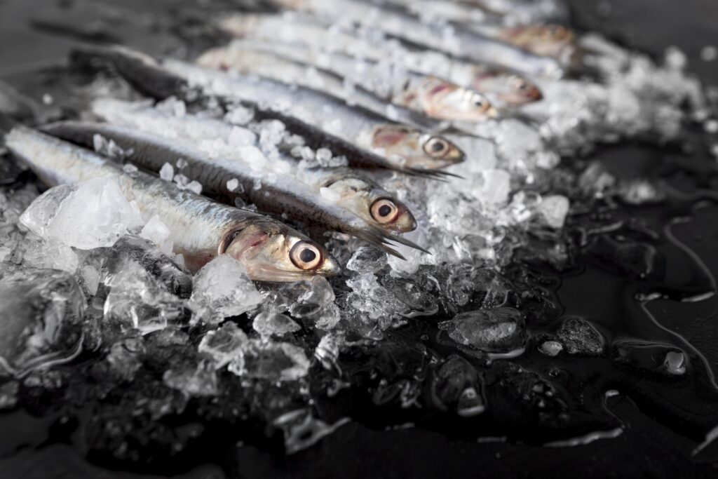 From Ocean to Freezer: The Art of Sealing Frozen Seafood with Oceanchiefs